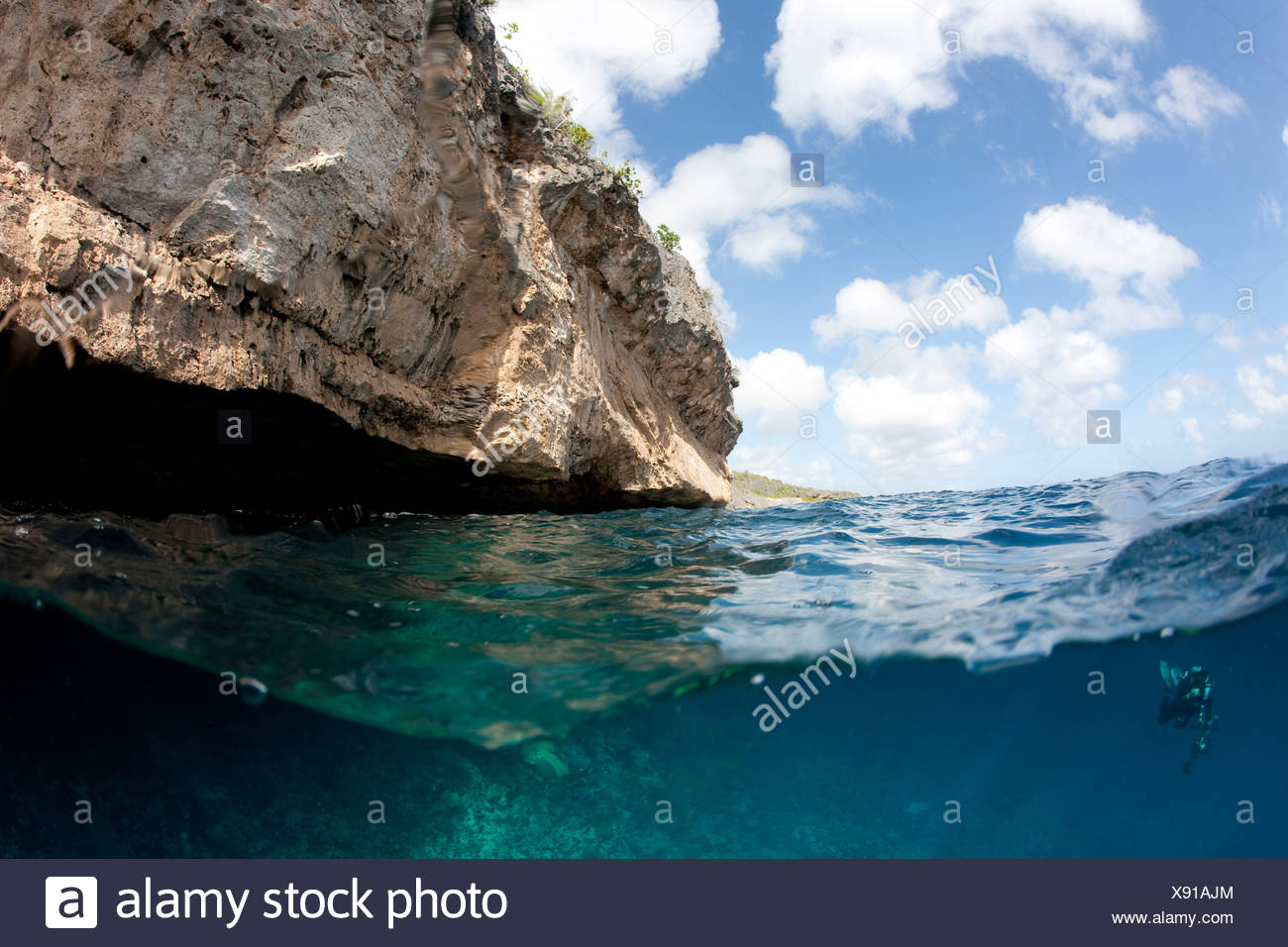 De vista dividida por encima y debajo del agua, Bonaire, Antillas Neerlandesas. Foto de stock
