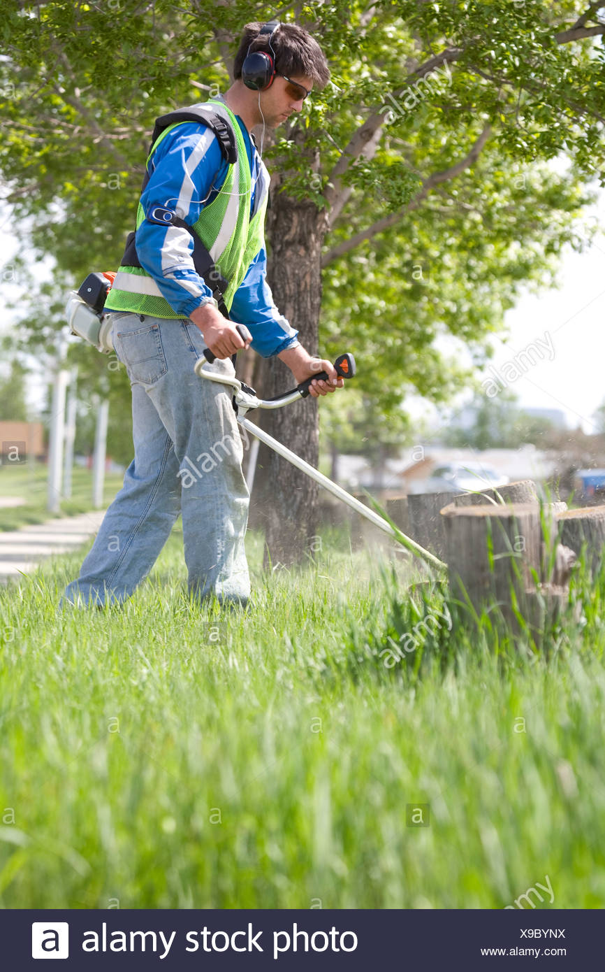 Grass Cutting Job Fotos e Imágenes de stock Alamy