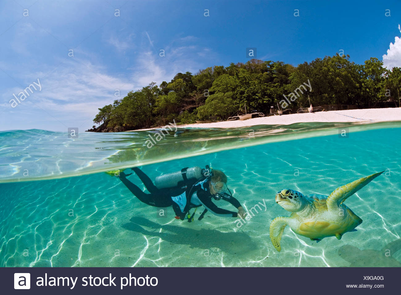 Buzo femenino con una tortuga en las aguas poco profundas fuera de una isla, dimakya island, Palawan, Filipinas, Océano Pacífico Foto de stock