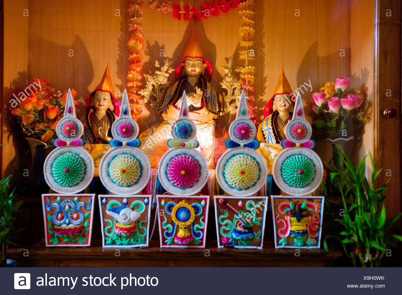 Buda, el monasterio budista tibetano de Gaden Shartse, India, Asia, cultura, religión, simbolos, simbologia religiosa, el templo, campo Foto de stock
