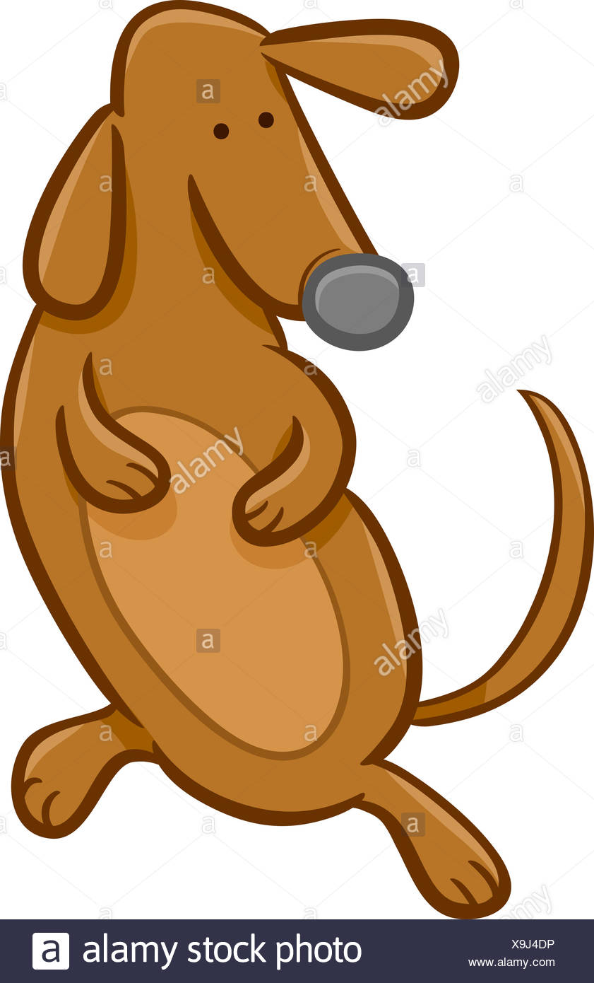 Perro Salchicha Cartoon Fotografia De Stock Alamy