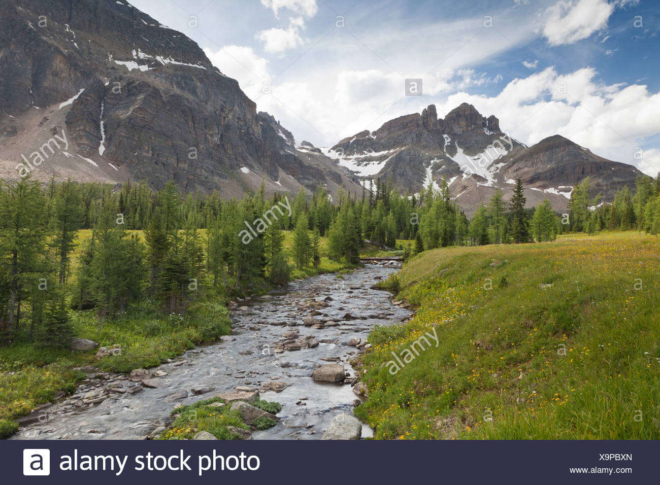 Canadá, el Monte Assiniboine Provincial Park, Gog Meadows, Lago Las Torres y Naiset Gog, Punto de salida del lago Foto de stock