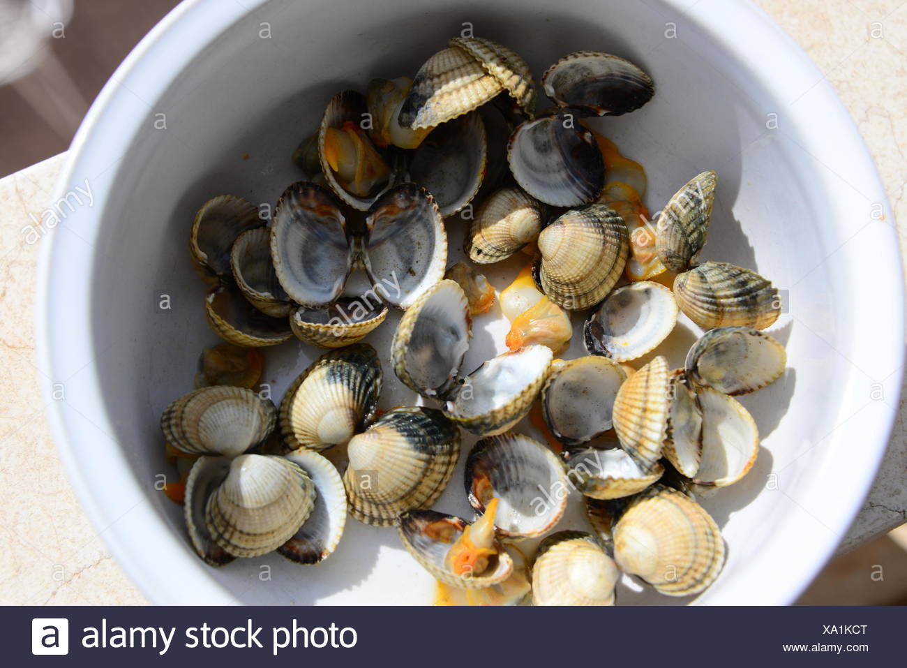 Berberechos - España Foto de stock
