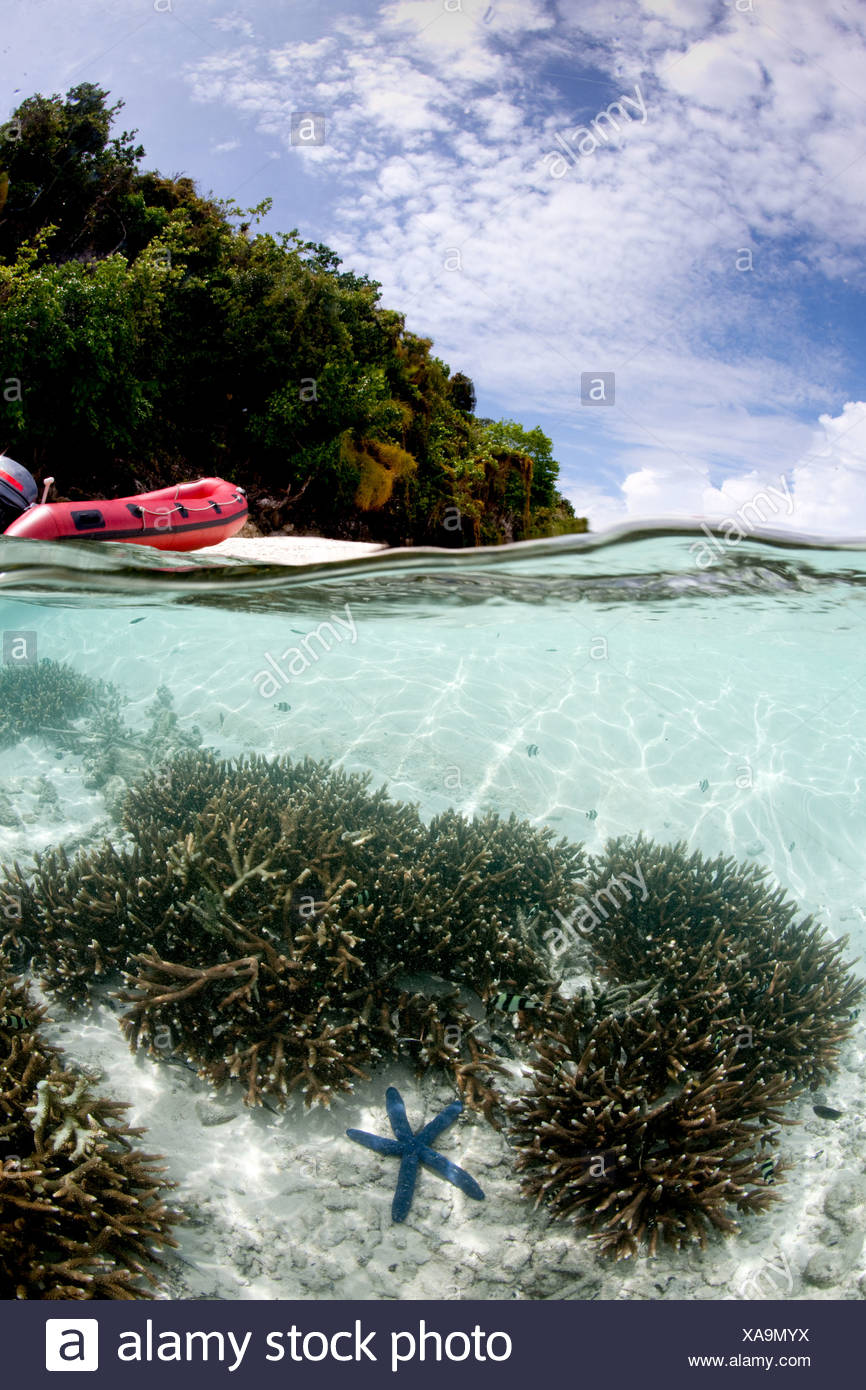 Over/under con la isla. Foto de stock