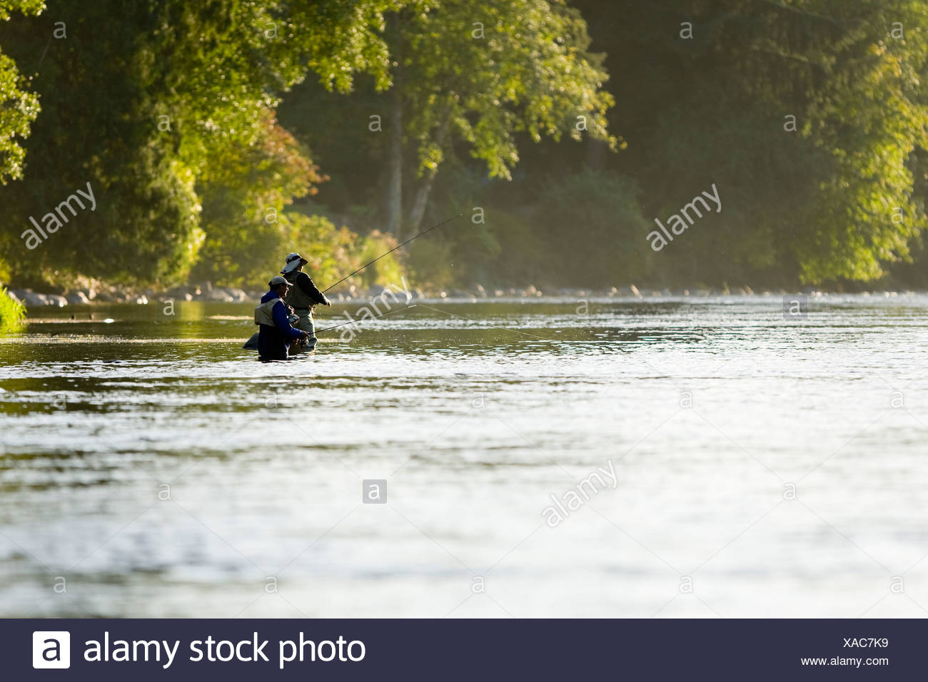 Flyfishermen en el Río Campbell, las piscinas de peces por debajo de Elk Falls. Campbell River, la isla de Vancouver, British Columbia, Canadá. Foto de stock