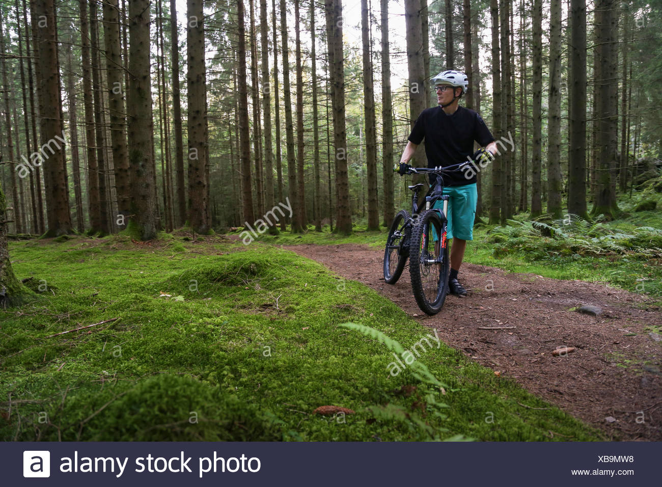 Suecia, Vastergotland, Lerum, hombre maduro con bicicleta en el bosque Foto de stock