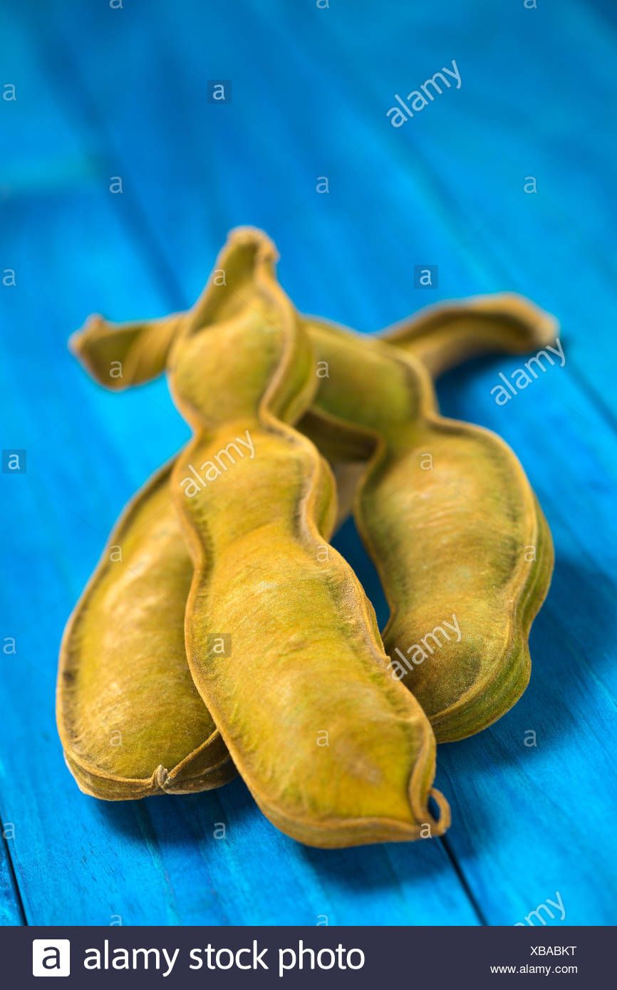 Fruta Peruana Llamado Pacay Lat Inga Feuilleei Que Es Un Fruto Del Cual Podded La Dulce Pulpa Blanca Que Rodea Las Semillas Se Come Selective El Foco Un Tercio En La Imagen Fruta Peruana Llamado Pacay Lat Inga Feuilleei Que Es Un Fruto Del Cual Podded La Dulce Pulpa Blanca Que Rodea Las Semillas Se Come Selective El Foco Un Tercio En La Imagen