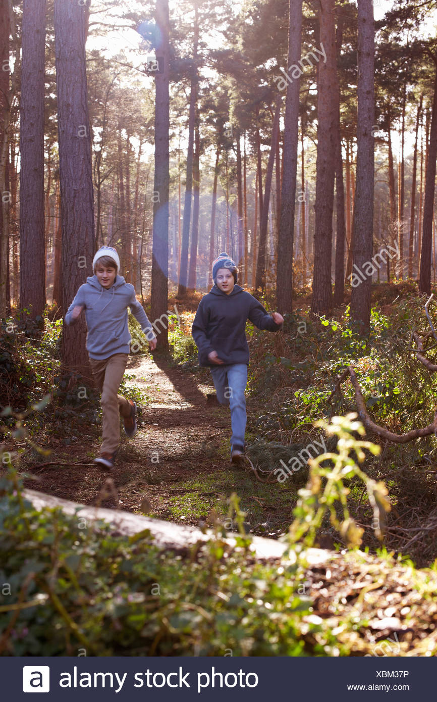 Hermanos Del Bosque Fotos e Imágenes de stock Alamy