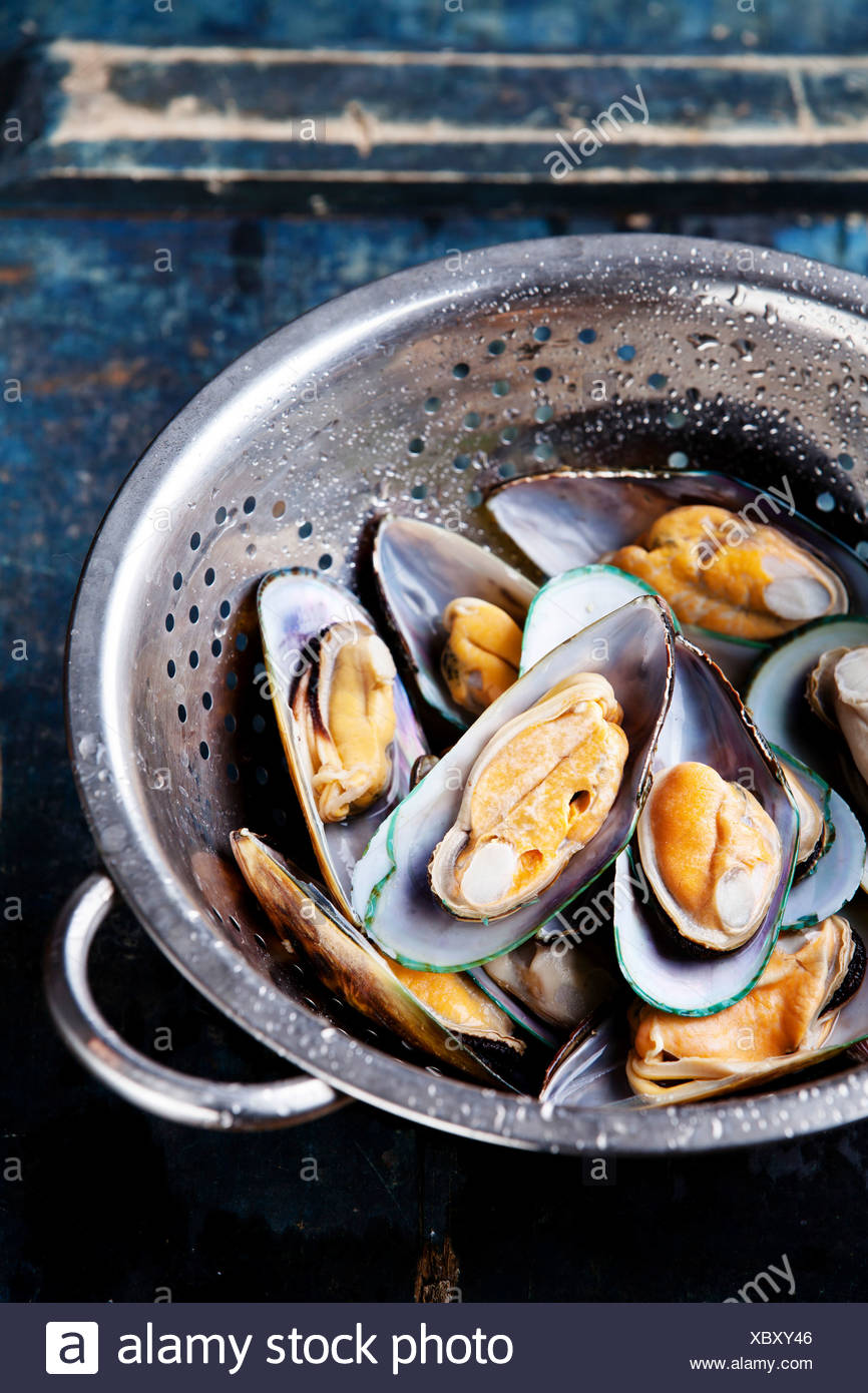 Materias lavó los mejillones en un colador Foto de stock