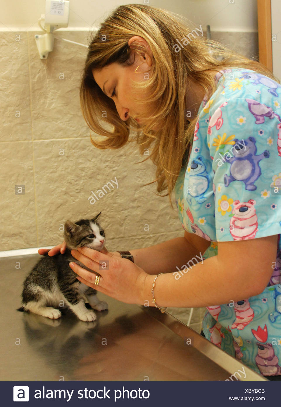 Vet hembra trata un gatito recién nacido Foto de stock