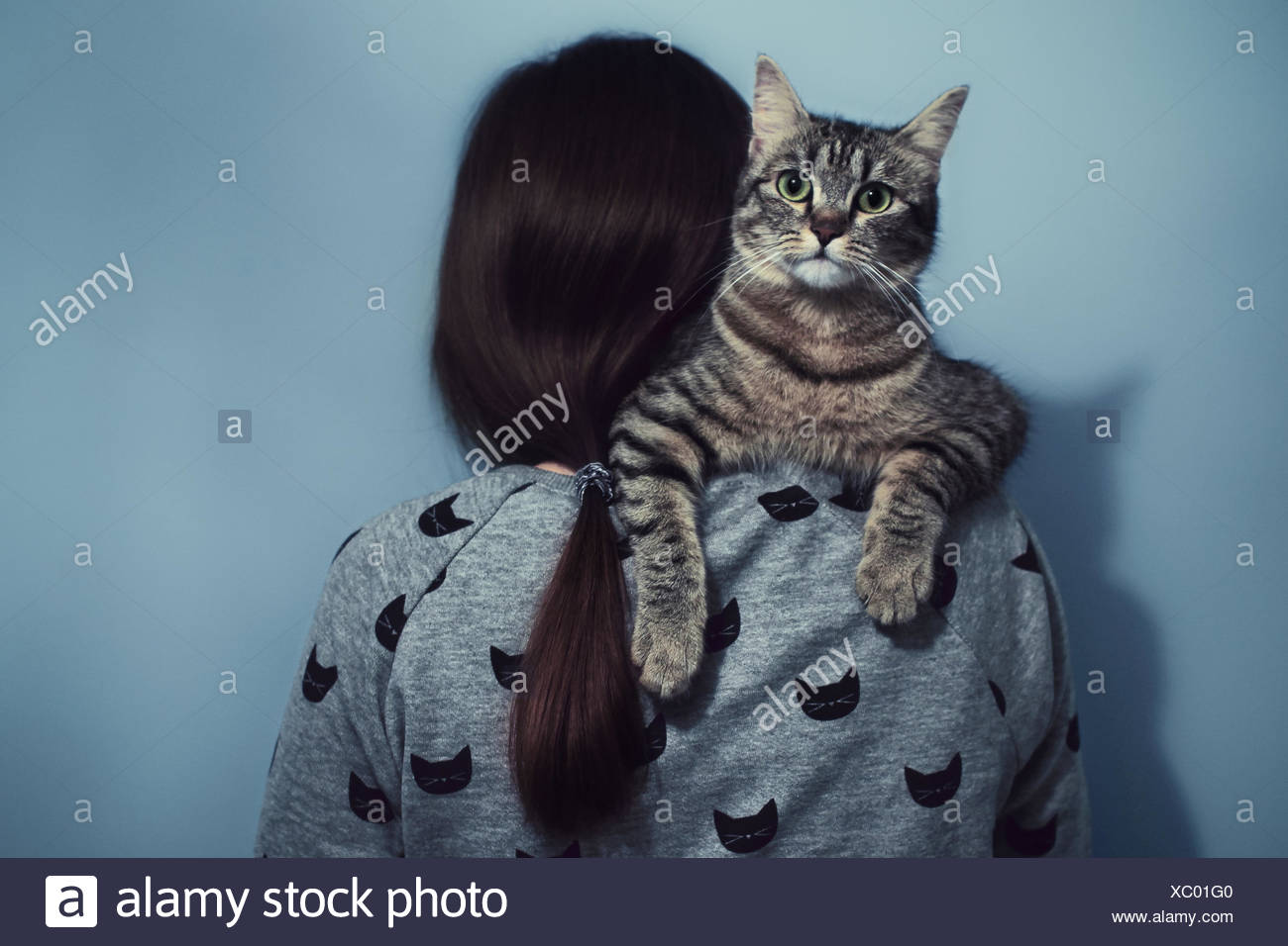 Mujer sosteniendo sobre sus hombros cat Foto de stock