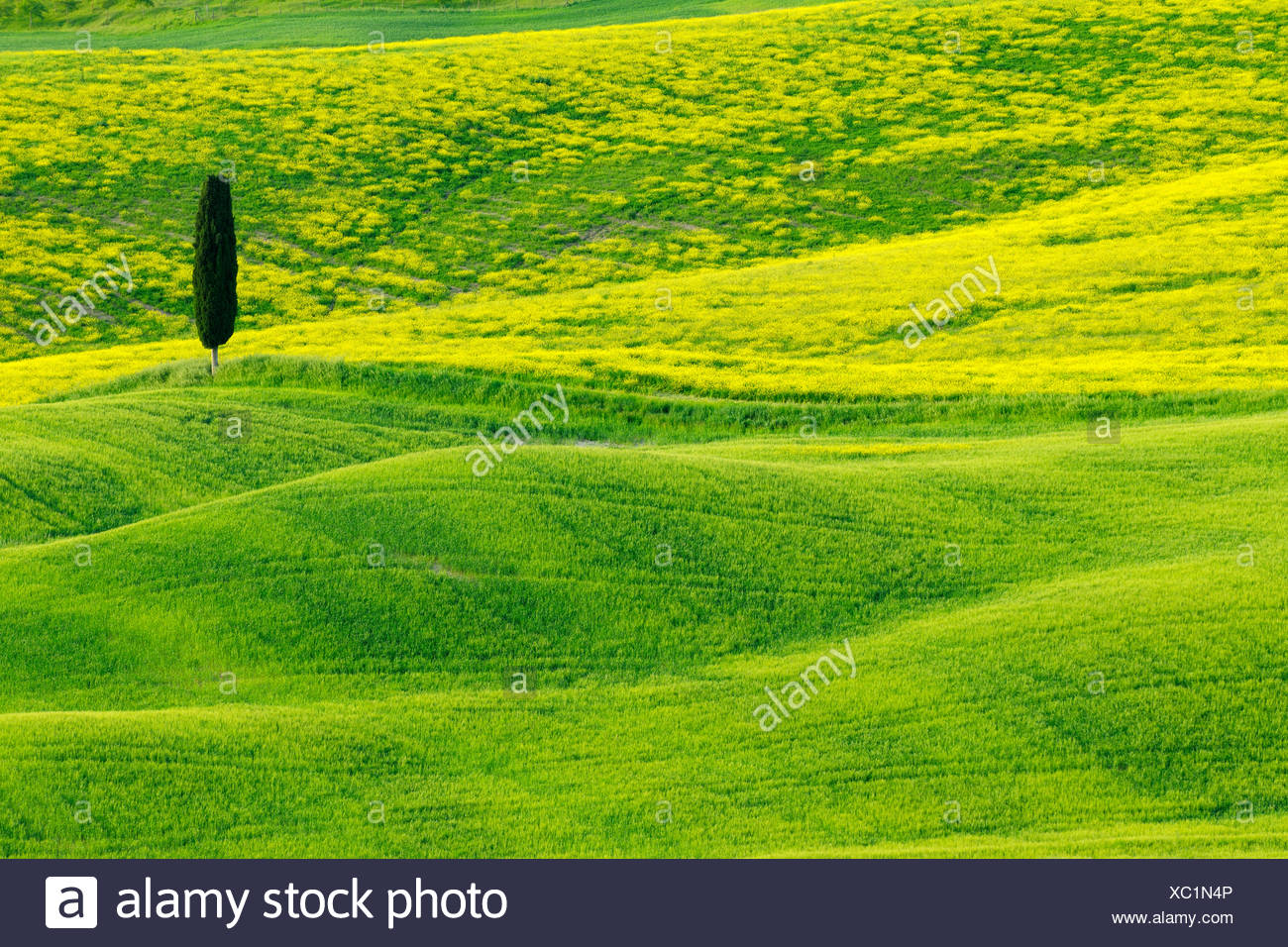 San D Fotos e Imágenes de stock - Alamy