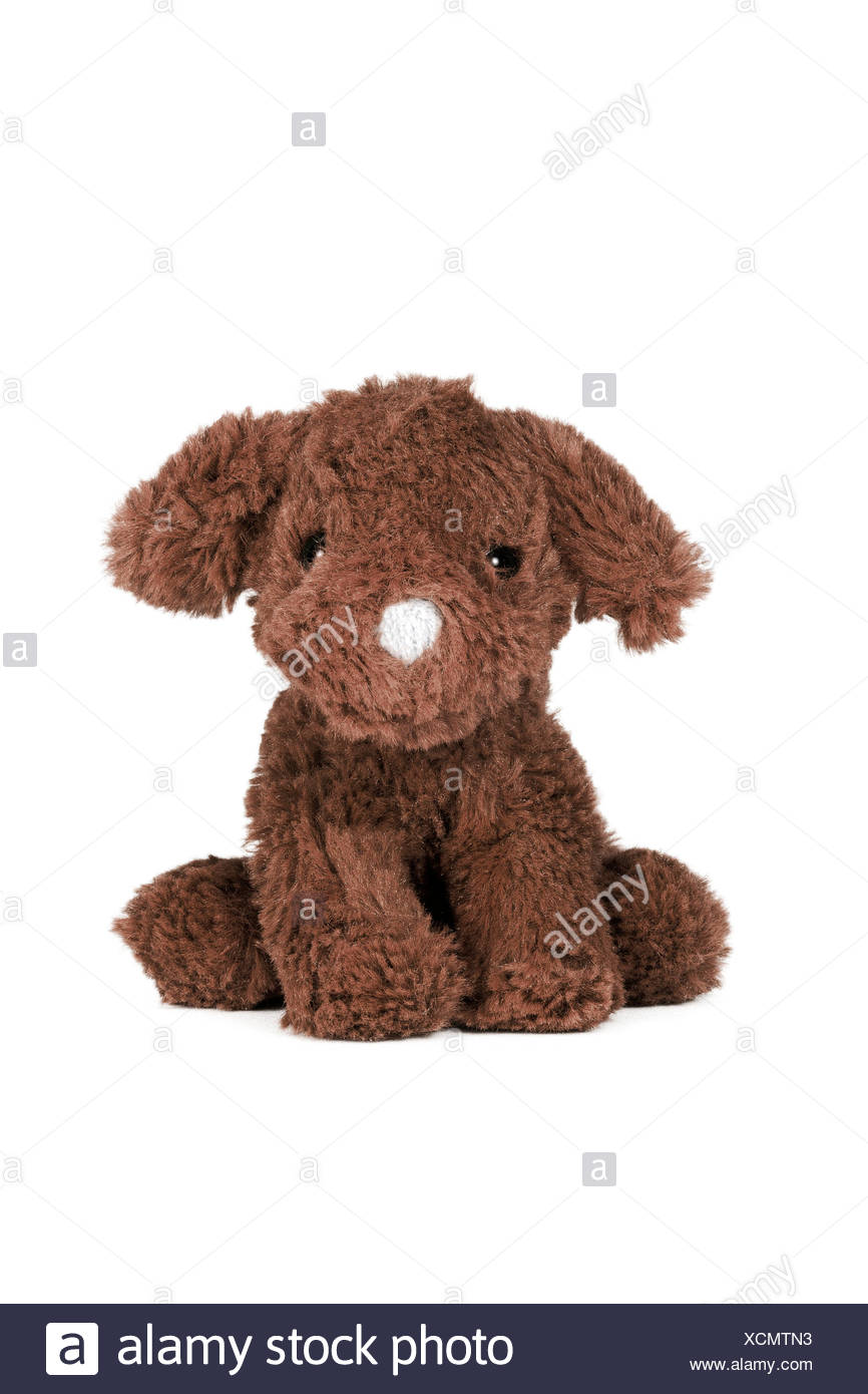 perro peluche marron