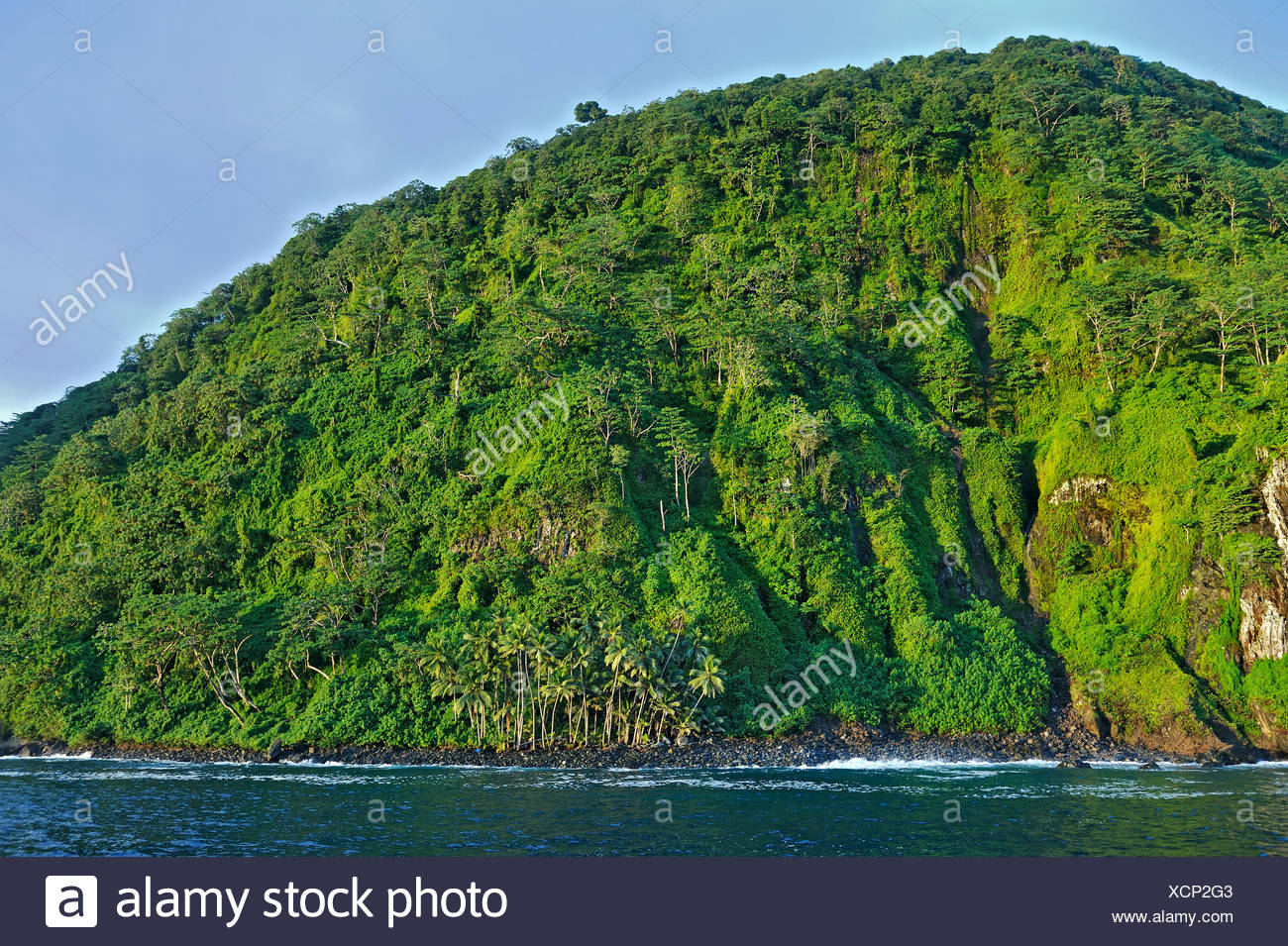 Cocos Island Costa Rica Forest Fotos E Imagenes De Stock Alamy Cocos Island Costa Rica Forest Fotos E Imagenes De Stock Alamy