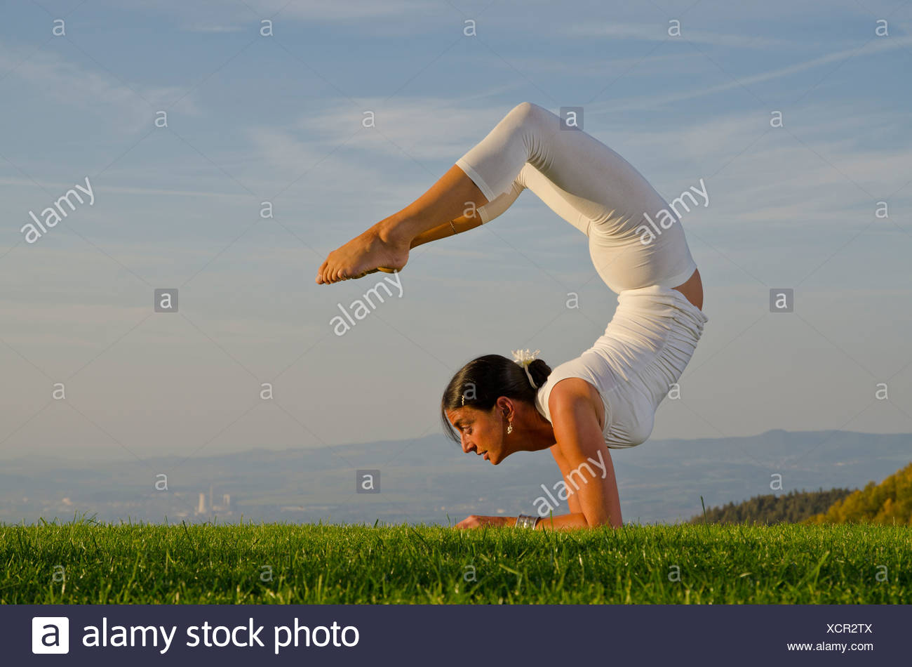 Hatha Yoga Scorpion Pose Hatha Yoga Scorpion Pose