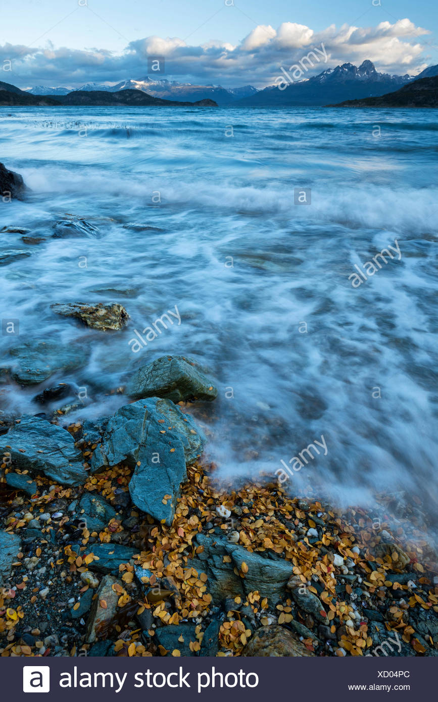 América del Sur,Tierra del Fuego,Argentina,Ushuaia,Tierra del Fuego,Parque Nacional,admisión,mar,playa,salvaje,la naturaleza,paisaje Foto de stock