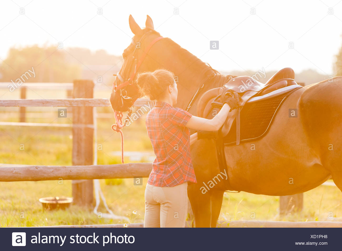 Mujer Preparando Montura Para Cabalgar En Pastizales Fotografia De Stock Alamy