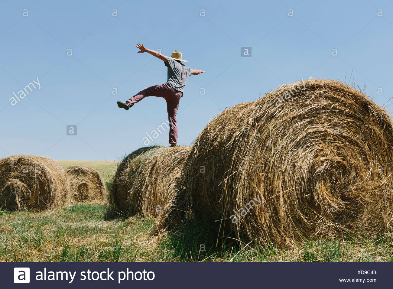 Vista posterior de un hombre el equilibrio sobre una pierna encima de un fardo de heno. Foto de stock