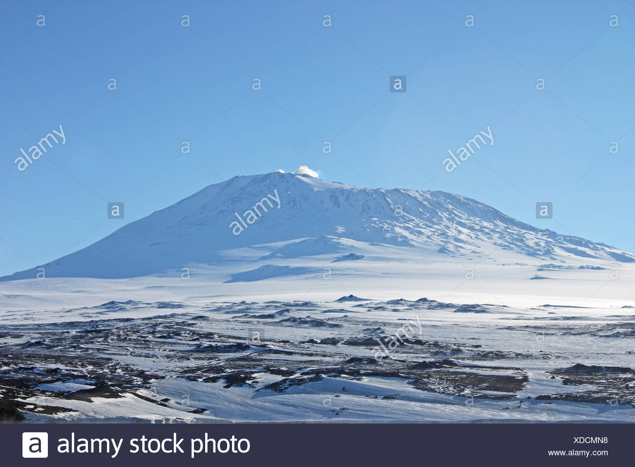 Monte Erebus 12 280 Pies De Altura Erupcion De Vapor Ceniza Y Humo Fotografia De Stock Alamy