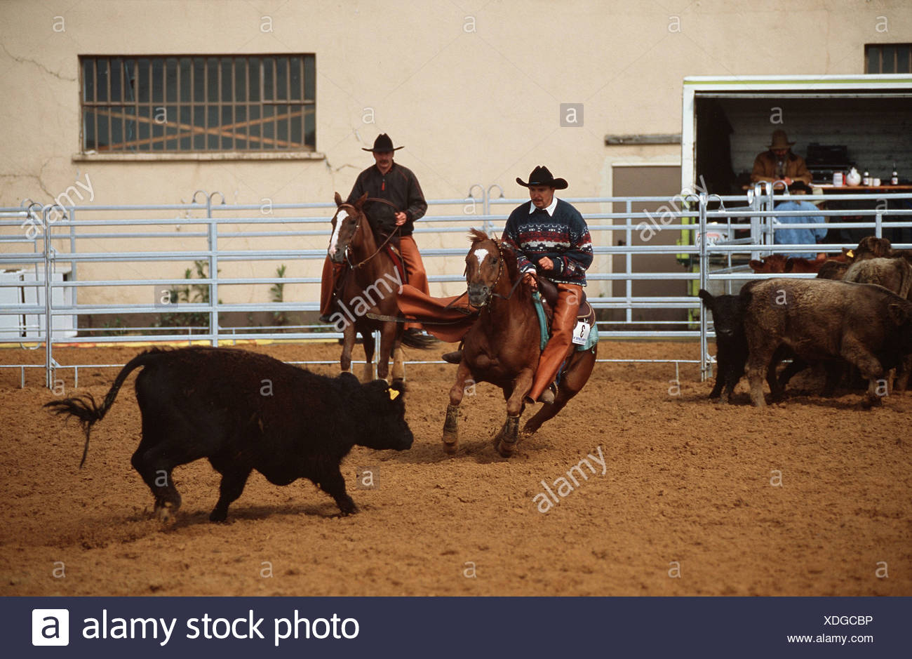 Rodeo 2 Vaqueros Fotografia De Stock Alamy