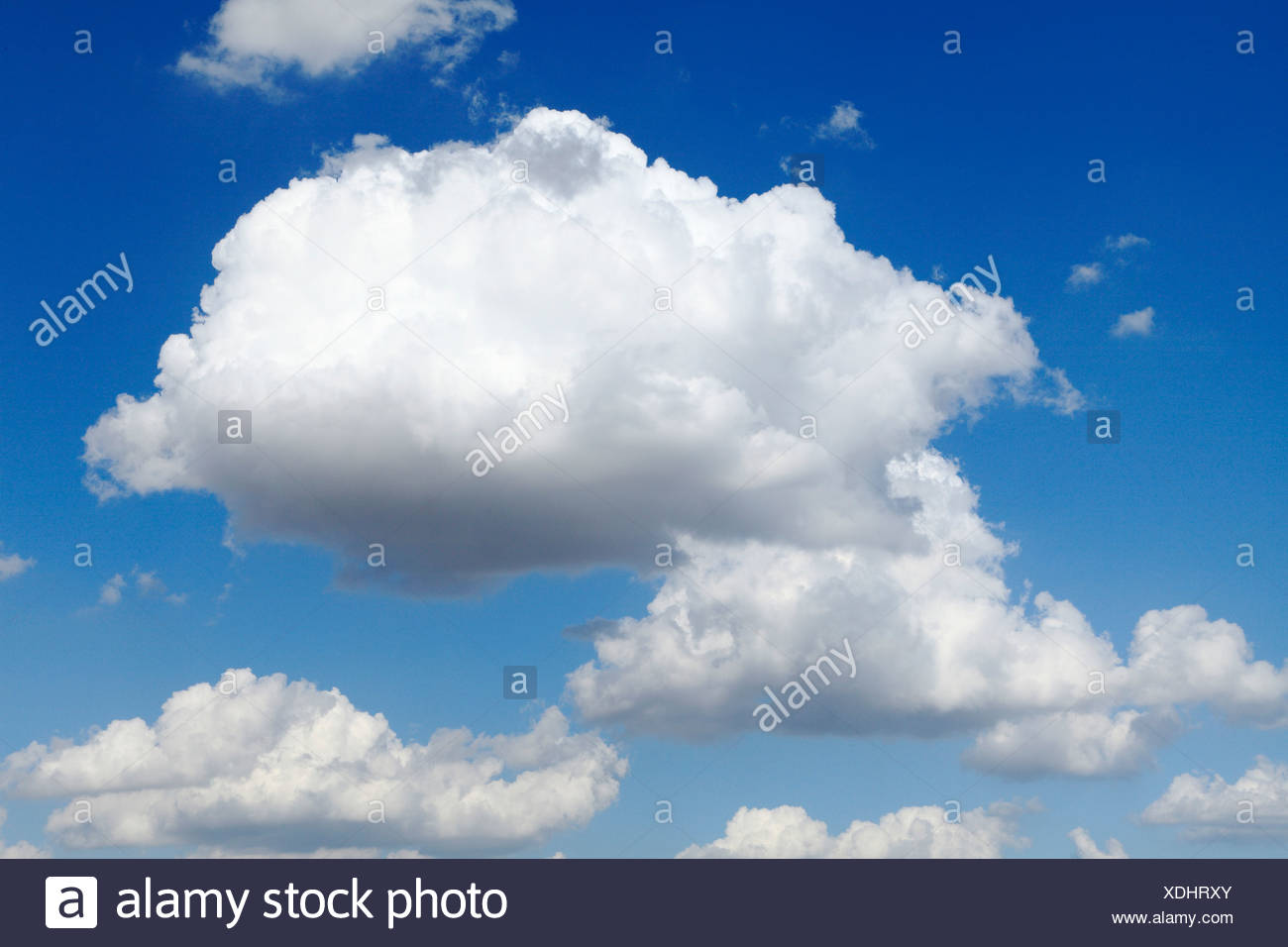 Cielo Azul Blanco Hinchada Cumulos Nubes Nubes Cielos La Meteorologia El Clima El Fondo Fotografia De Stock Alamy Cielo Azul Blanco Hinchada Cumulos Nubes Nubes Cielos La Meteorologia El Clima El Fondo Fotografia De Stock Alamy