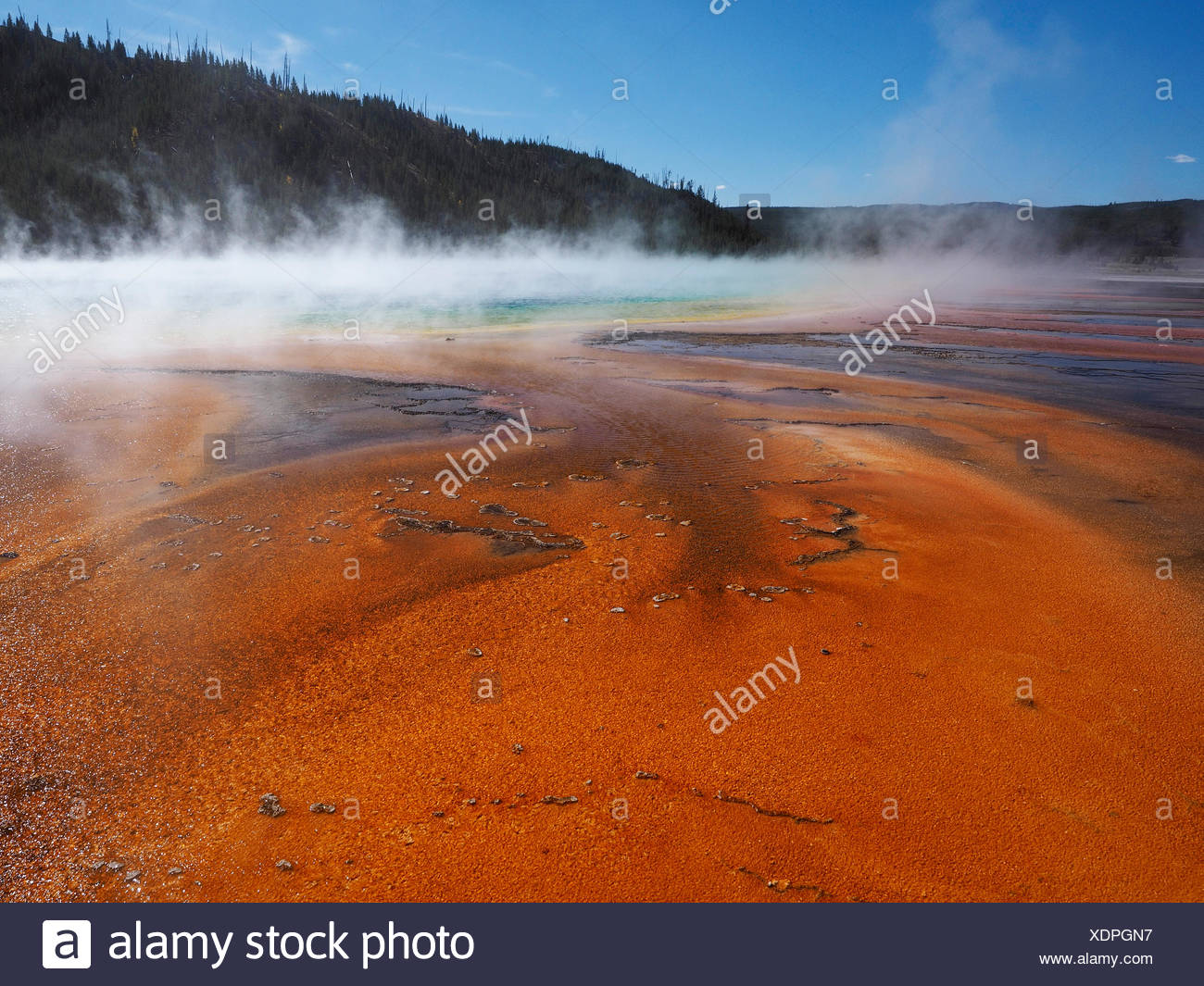 Grand Prismatic Spring, Midway Geyser Basin, EE.UU., el Parque Nacional Yellowstone, Wyoming Foto de stock
