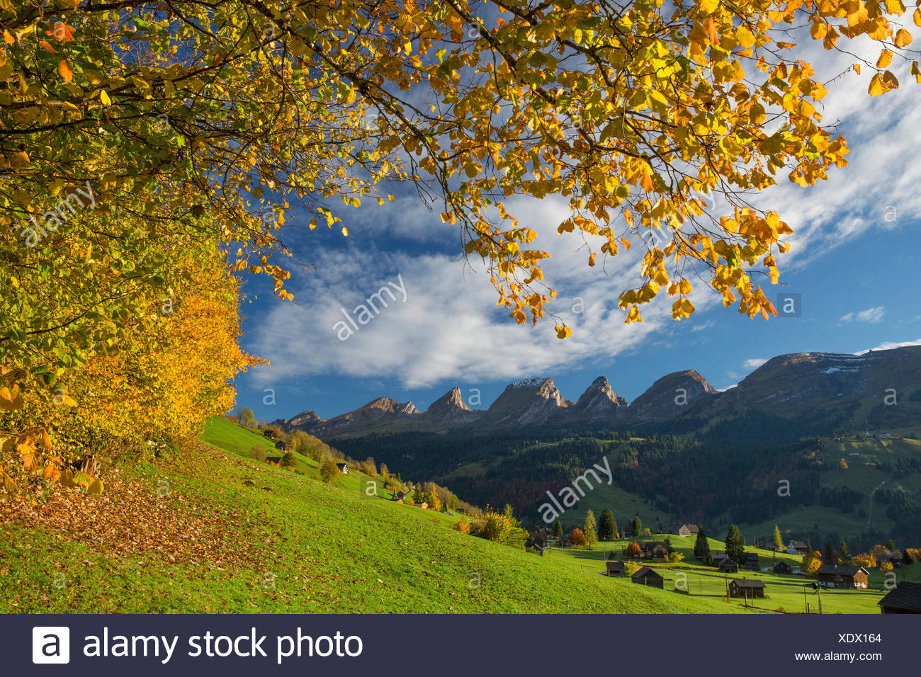 Toggenburg, Unterwasser, SG Churfirsten, montaña, montañas, otoño, la reflexión, la SG, en el cantón de San Gallen, Suiza, Europa Foto de stock