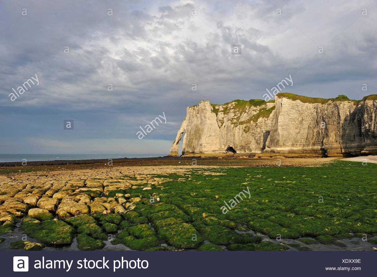 El embalse en la marea baja y cliff, Etretat Seine-Maritime, departamento, región de Normandía, Francia, Europa. Foto de stock