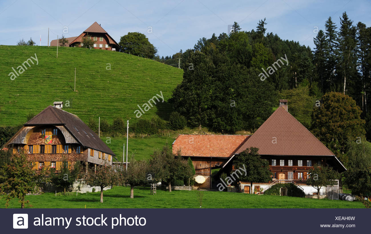 Apple tree, granja, granja de madera, la colina de montaña, techo, Emmental, casa, casa, chalet, corte, patio, Hofstatt, colina, cantón Foto de stock