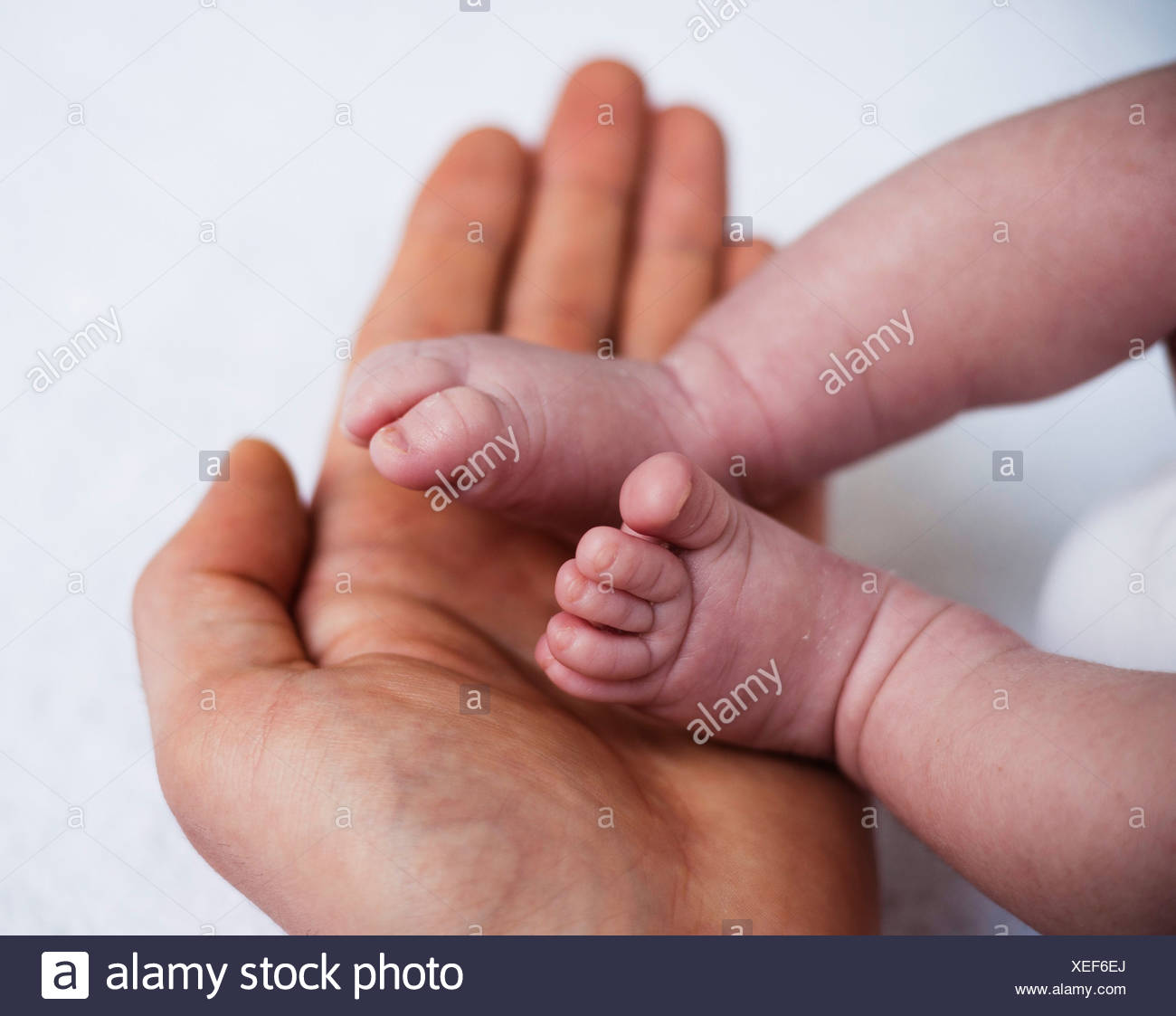 Padre Sosteniendo Los Pies De Un Bebe Recien Nacido En Sus Manos Fotografia De Stock Alamy Padre Sosteniendo Los Pies De Un Bebe Recien Nacido En Sus Manos Fotografia De Stock Alamy