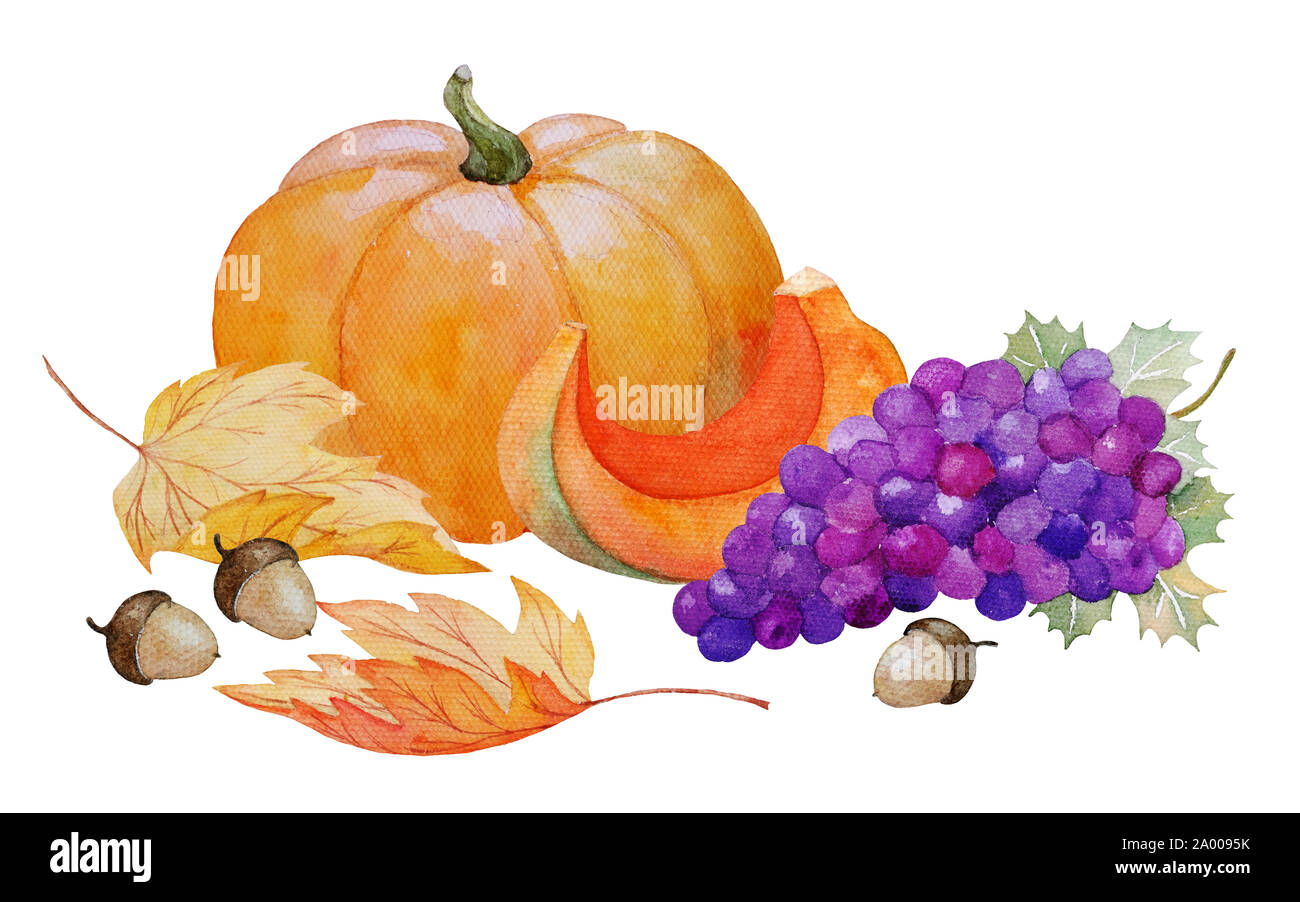 Aquarelle composition d'automne avec du potiron, raisin, feuilles d'érable et de glands, peinte à l'illustration de l'action de grâce ou de chasse d'automne festi Banque D'Images