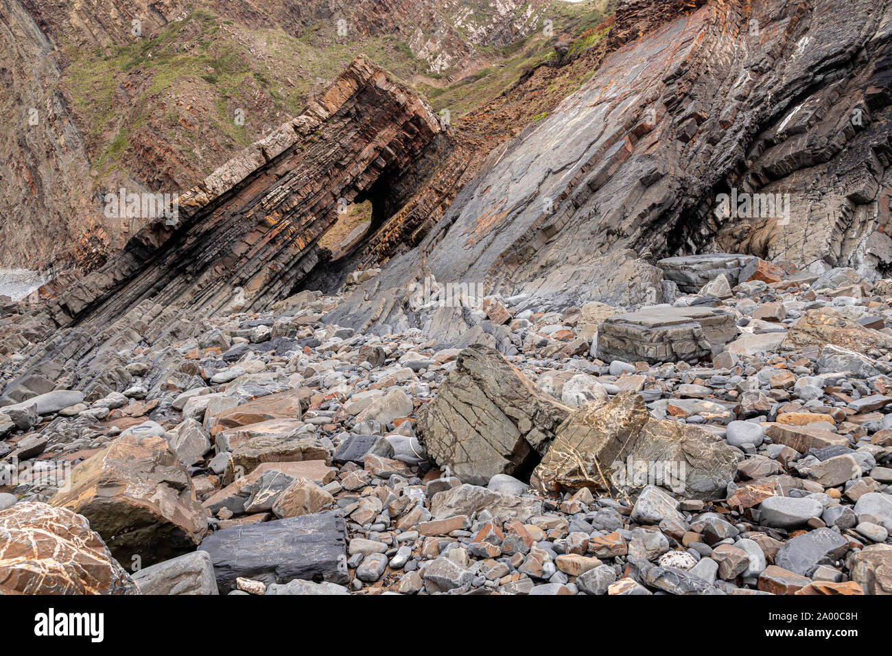 Rock formations à Hartland Quay, Devon, Angleterre Banque D'Images