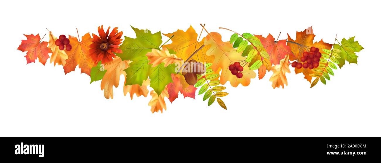 Les feuilles d'automne Border Illustration de Vecteur
