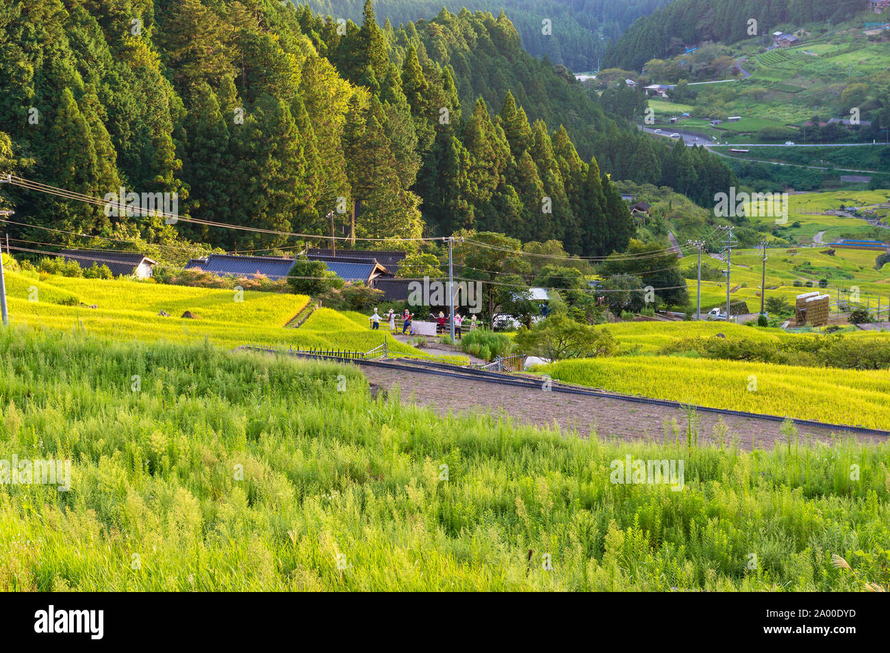 Ferme des rizières et sur le coucher du soleil avec l'épouvantail sur l'affichage de la plate-forme. Yotsuya, Aichi Prefecture, Japan Banque D'Images