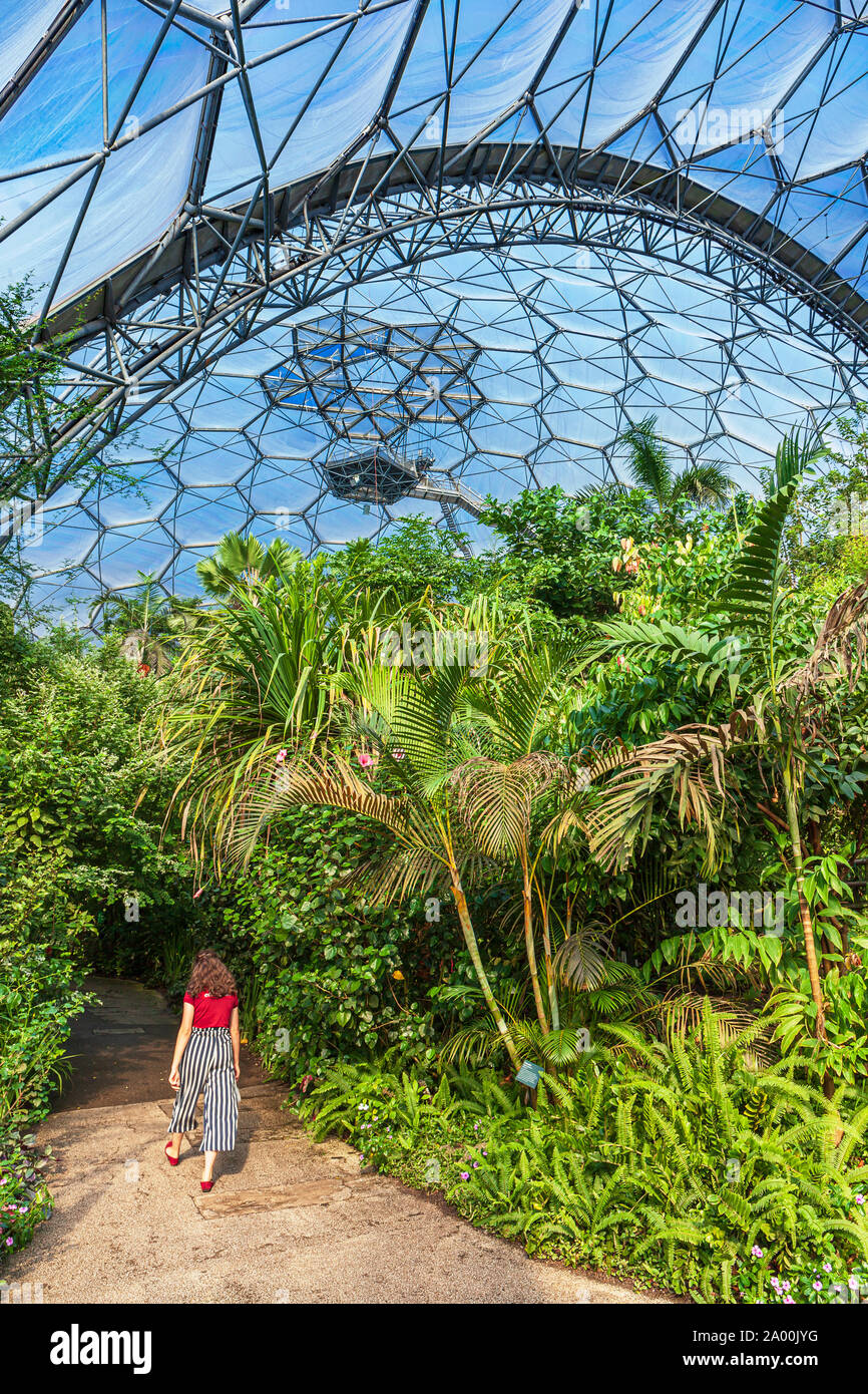Le biome de la forêt tropicale dans l'Eden Project, Cornwall. Banque D'Images