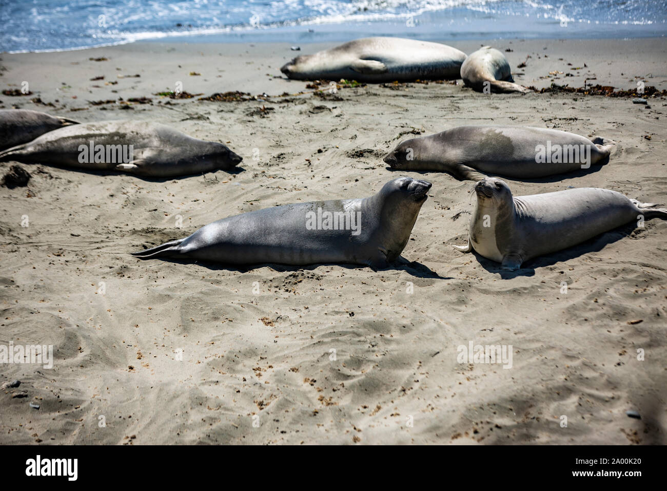 Strand Und Sand Banque D Image Et Photos Alamy
