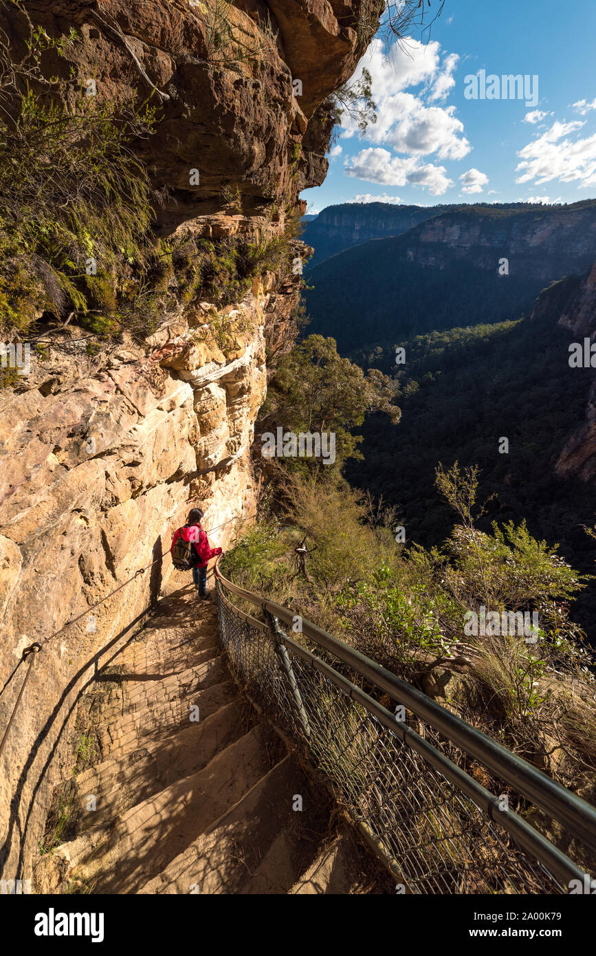 Woman hiking, descendant l'escalier à la voie de la montagne avec la forêt de montagne en dessous. Randonnées et d'aventure sur fond de paysage élément humain Banque D'Images