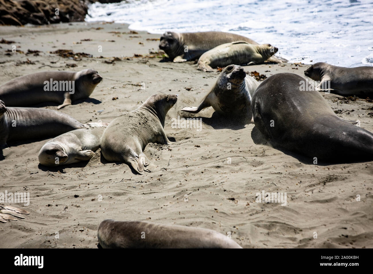Strand Und Sand Banque D Image Et Photos Alamy