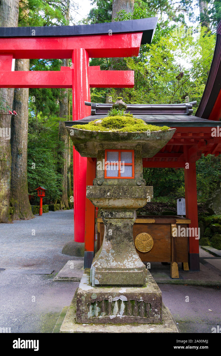 Pierre et lanterne de papier de riz de style traditionnel japonais couverts de mousse. Sanctuaire shinto d'Hakone Banque D'Images