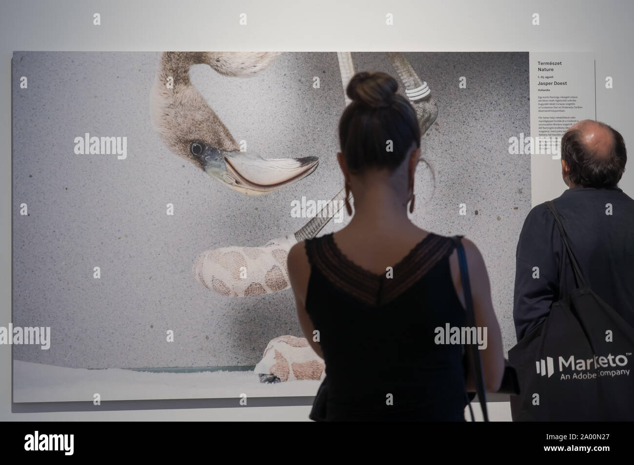 Budapest, Hongrie. 18 Sep, 2019. Les visiteurs des photos sur l'affichage à l'exposition World Press Photo à Budapest, Hongrie, le 18 septembre 2019. Credit : Attila Volgyi/Xinhua Banque D'Images