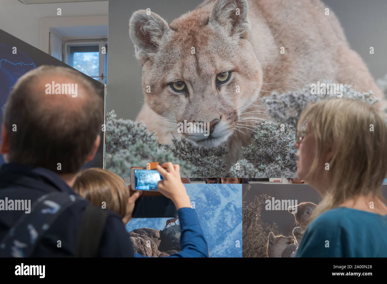 Budapest, Hongrie. 18 Sep, 2019. Les visiteurs des photos sur l'affichage à l'exposition World Press Photo à Budapest, Hongrie, le 18 septembre 2019. Credit : Attila Volgyi/Xinhua Banque D'Images