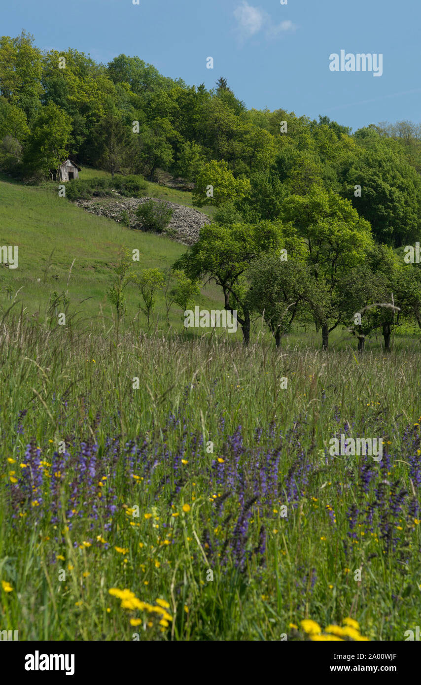 Paysage avec bar en pierre, vallée de Kocher, kuenzelsau, région Hohenlohe, baden-Württemberg, Heilbronn, Allemagne, Franconie-K Banque D'Images