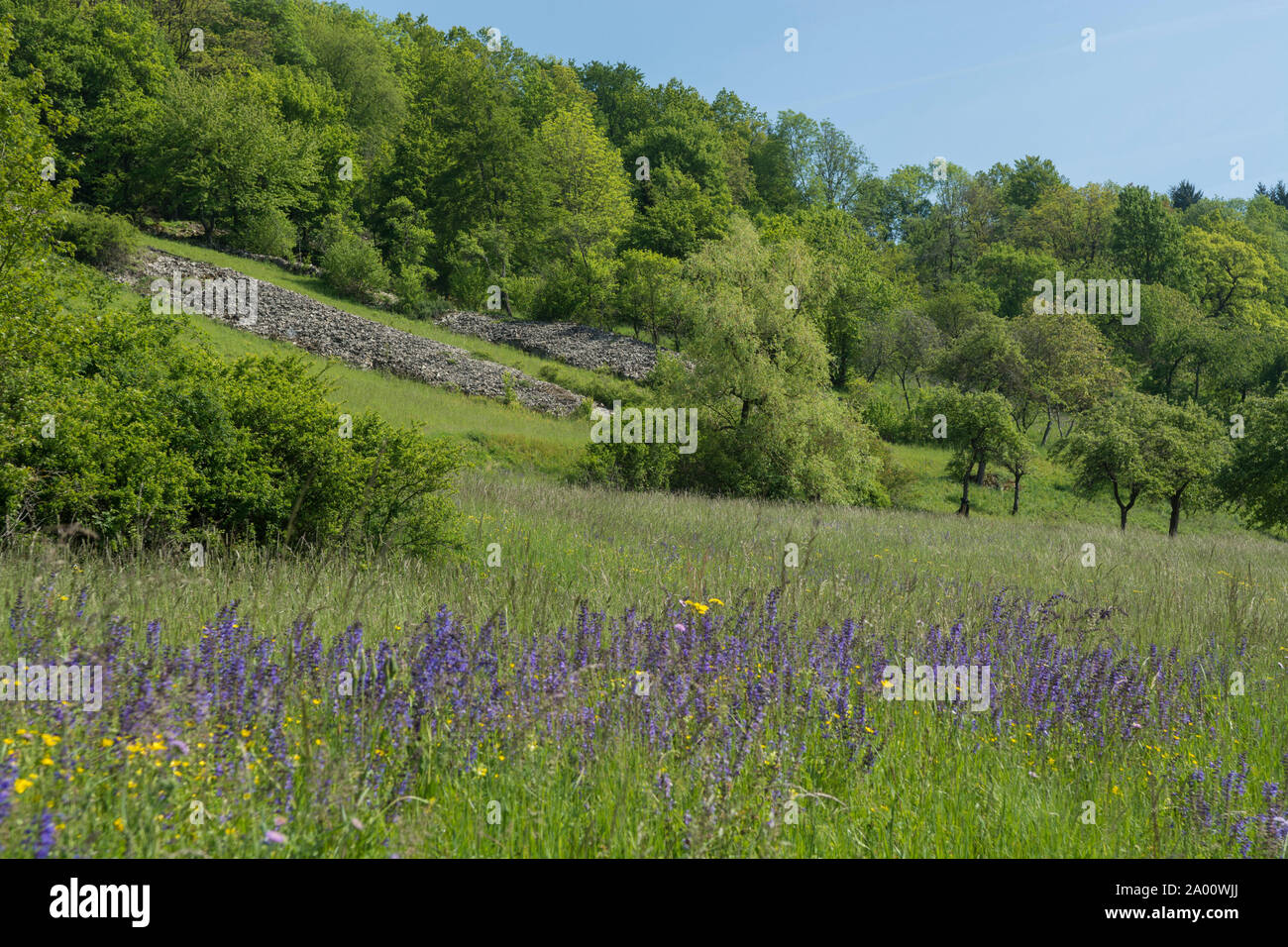 Paysage avec bar en pierre, vallée de Kocher, kuenzelsau, région Hohenlohe, baden-Württemberg, Heilbronn, Allemagne, Franconie-K Banque D'Images