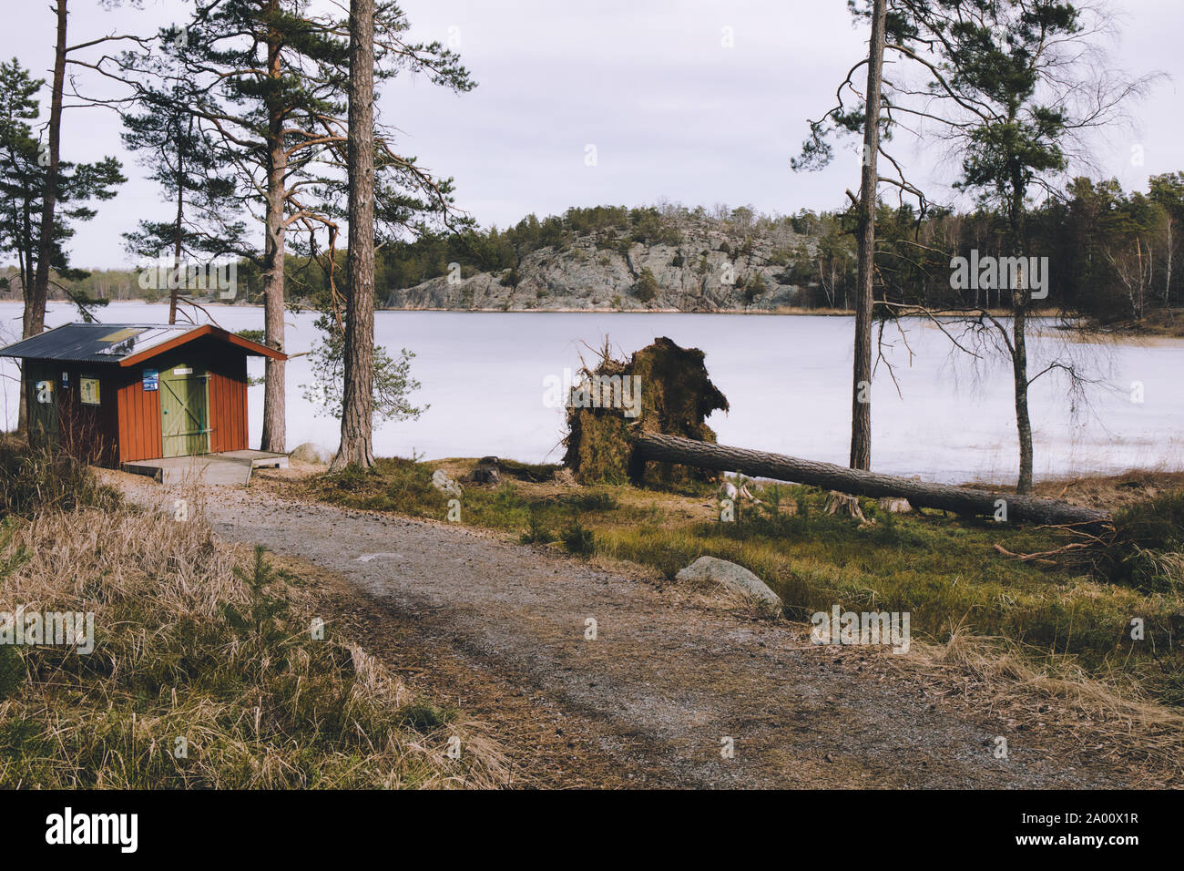 Arbre déraciné et extérieure cabine des toilettes à côté de lac gelé, réserve naturelle (Bjorno Bjorno Naturreservat), archipel de Stockholm, Suède Banque D'Images