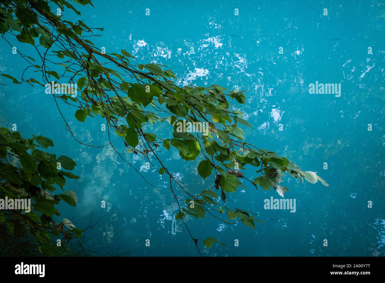 Alta Val d'Elsa River Park, le sentier commence à Gracciano et atteint à Colle Val d'Elsa (Siena, Toscane) les eaux sont claires et d'un inte Banque D'Images