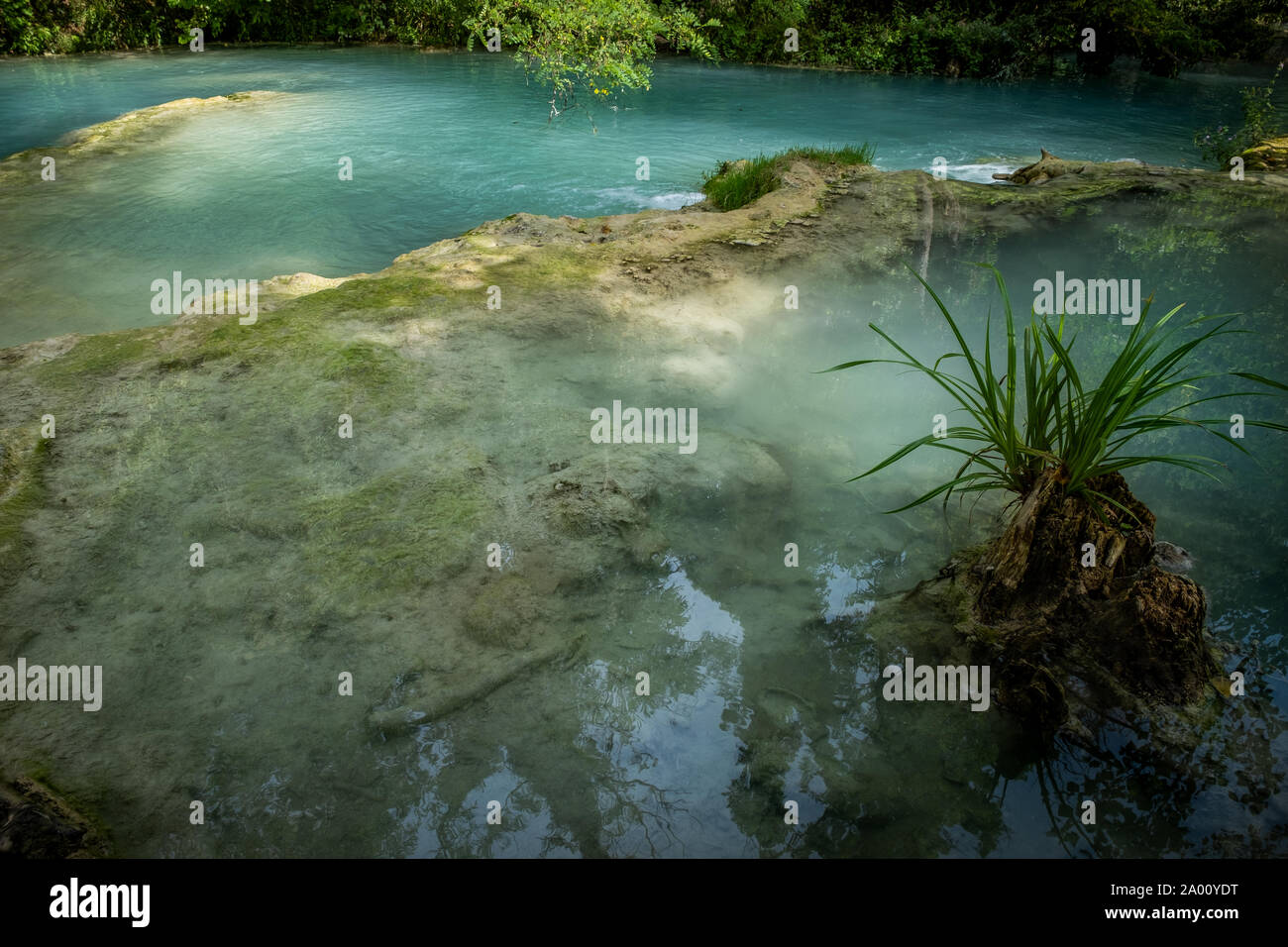 Alta Val d'Elsa River Park, le sentier commence à Gracciano et atteint à Colle Val d'Elsa (Siena, Toscane) les eaux sont claires et d'un inte Banque D'Images