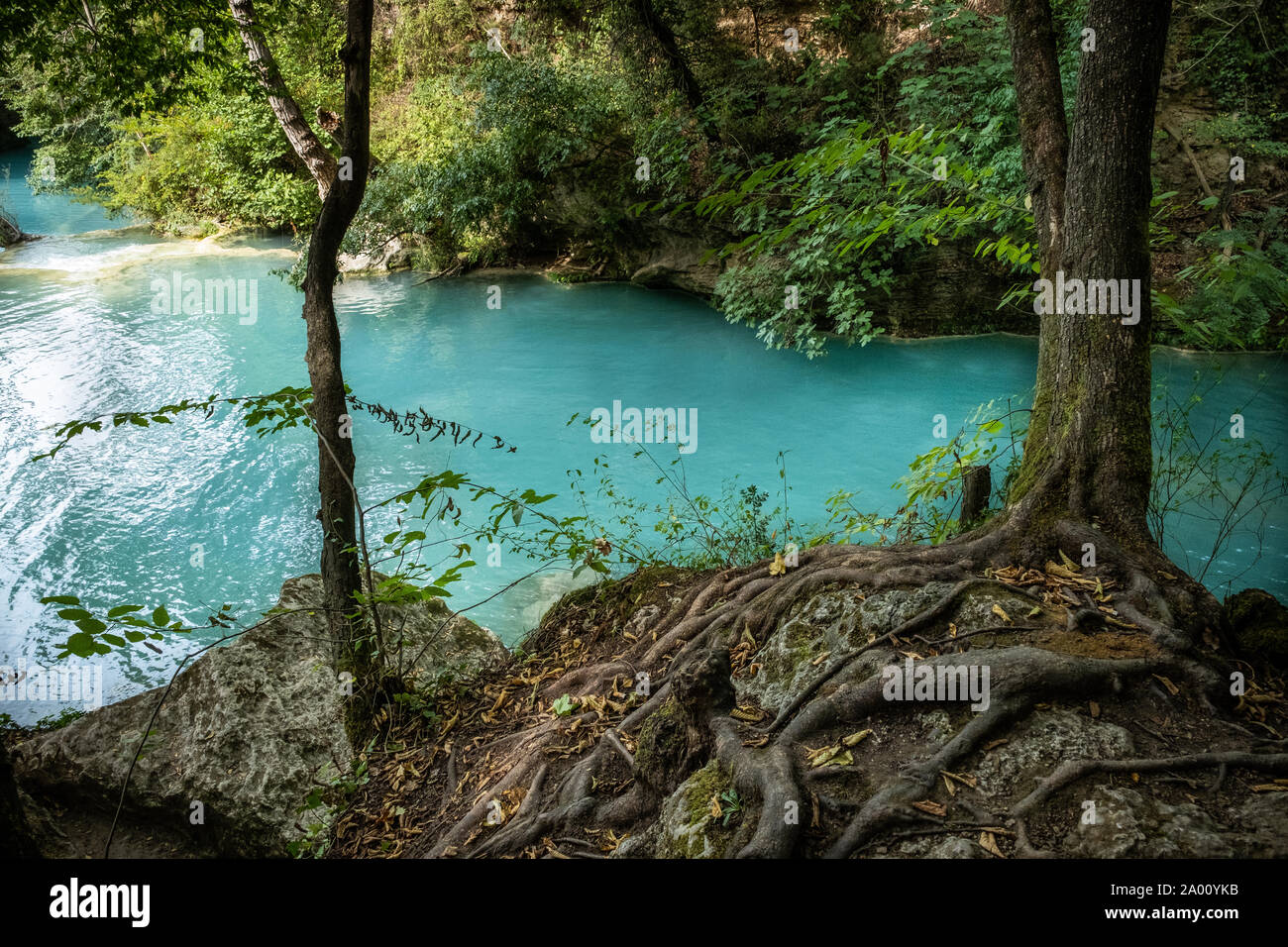 Alta Val d'Elsa River Park, le sentier commence à Gracciano et atteint à Colle Val d'Elsa (Siena, Toscane) les eaux sont claires et d'un inte Banque D'Images
