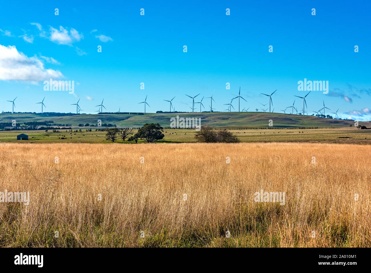 Moulin de l'électricité éolienne avec outback rural arrière-plan. Les terres agricoles et les éoliennes. Myrtleville, NSW, Australie Banque D'Images