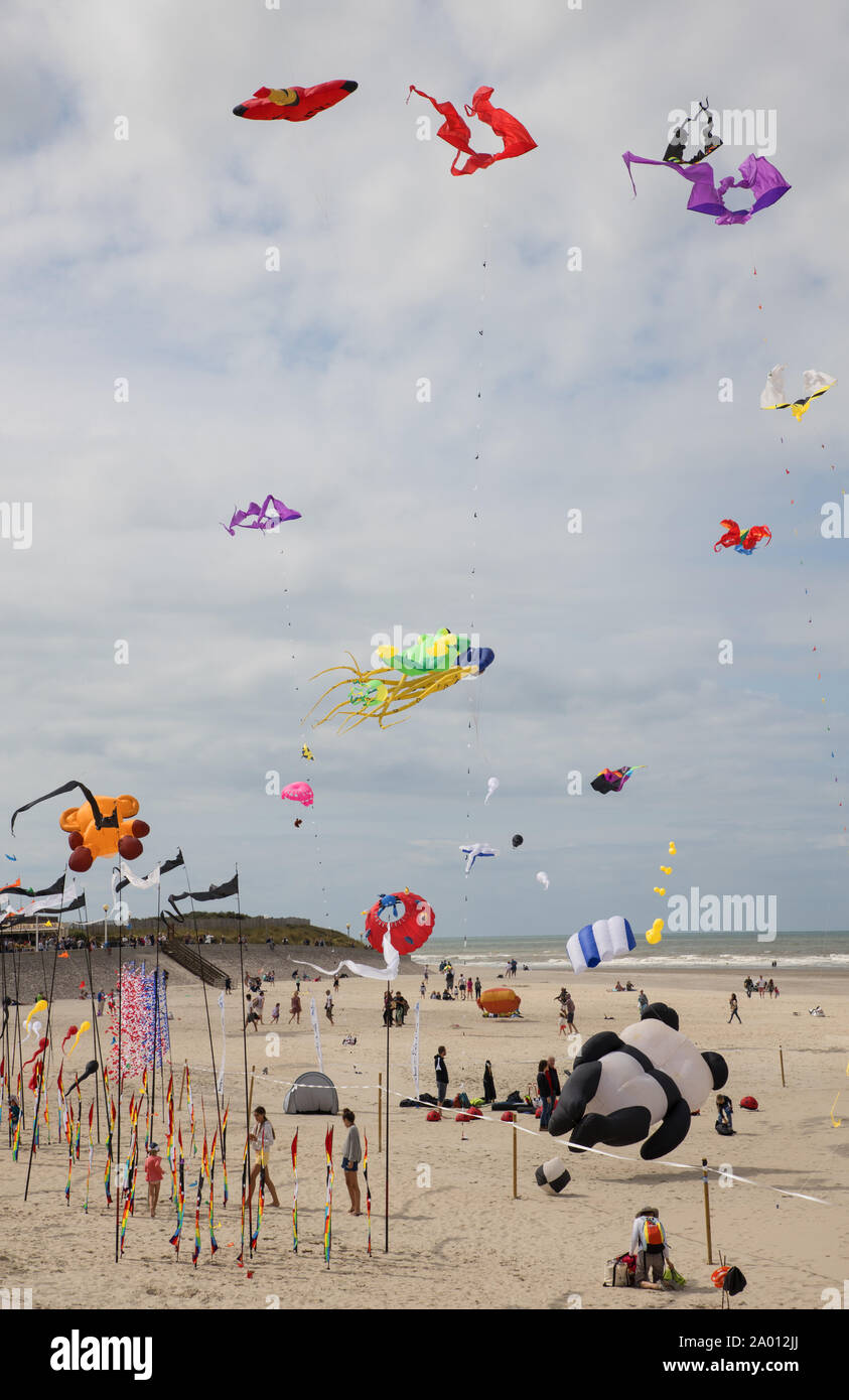 Kites au french ville balnéaire de berck sur mer dans la somme en france Banque D'Images