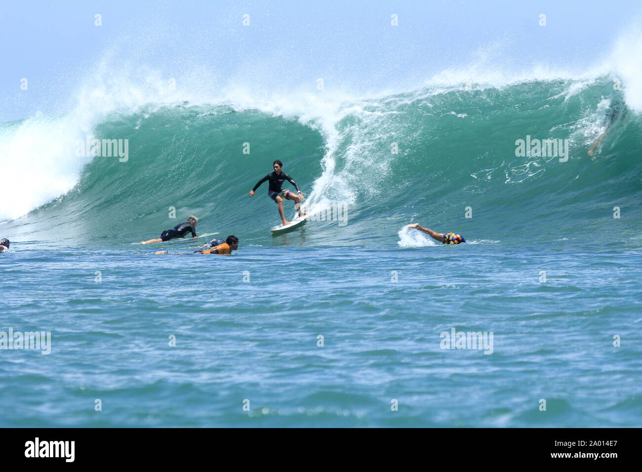 Free Surf à la plage de Bali, Indonésie. surfer à Bali beach... Banque D'Images